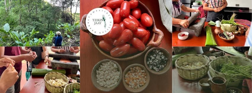 Vegetación del bosque comestible Tzikin Jaay